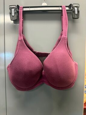 Cabernet Padded T-Shirt Bra in Deep Berry